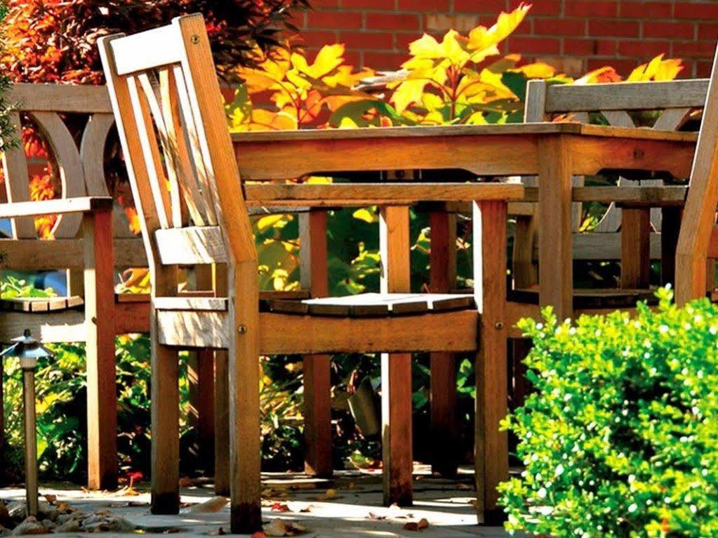 Logis Terrasse Hotel Lisieux Luaran gambar